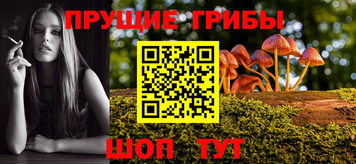 Галлюциногенные грибы мицелий  Галлюциногенные грибы мухоморы  Каменск-Шахтинский  Вход с VPN 